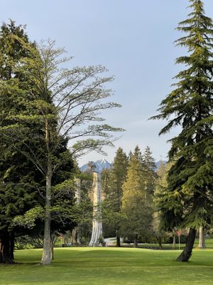 Stanley Park Pitch & Putt by null