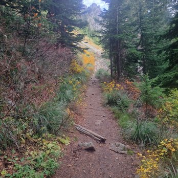 Eagle Peak Trail - Hiking Near Me - Ashford, Washington