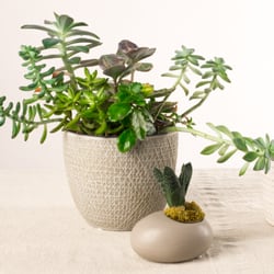 Stein's Garden & Home