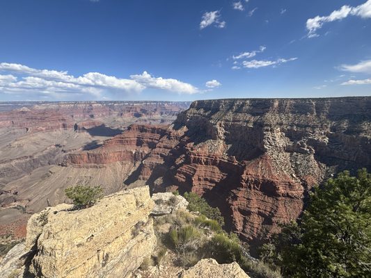 Canyon Adventures Bike Tours & Café by null