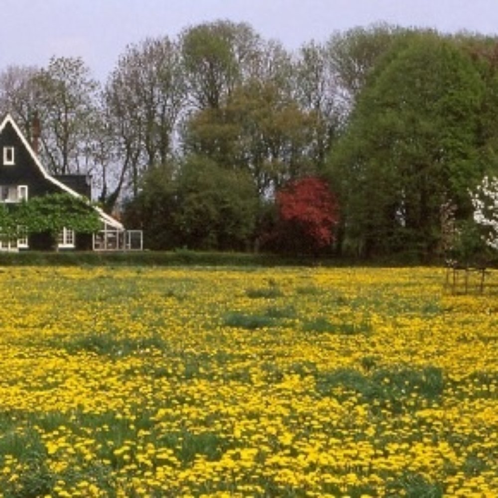 THE BEST 10 FARMS in HOOFDDORP, NOORD-HOLLAND, THE