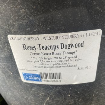 Westurf Nursery - Fraudulently listed as this tree. However this $490.36 purchase was a $80 kosa dogwood not good for this climate. Shop elsewhere! - Nurseries & Gardening Near Me - Modesto, California Westurf Nursery - Fraudulently listed as this tree. However this $490.36 purchase was a $80 kosa dogwood not good for this climate. Shop elsewhere! - Nurseries & Gardening Near Me - Modesto, California