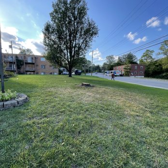 Bills Tree Care Service Plus - After full removal - Tree Services Near Me - Cincinnati, Ohio