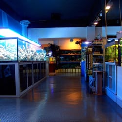 Aqua Tropica - Eingangsbereich mit 6 Meter Korallenriffaquarium, weitere Süßwasseraquarien und Seewasseraquarien können besichtigt werden.