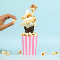Nobibi Ice Cream & Tea - Smore Ice Cream