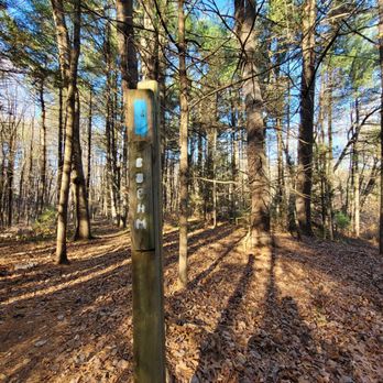 Wagner Woods Trails - Blue trail - Parks Near Me - Simsbury, Connecticut