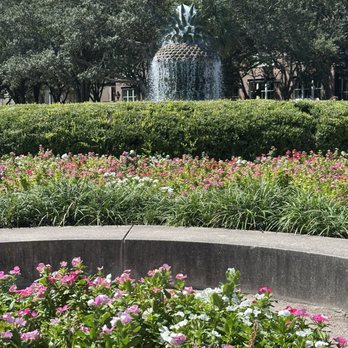 Waterfront Park - Parks Near Me - Charleston, South Carolina Waterfront Park - Parks Near Me - Charleston, South Carolina