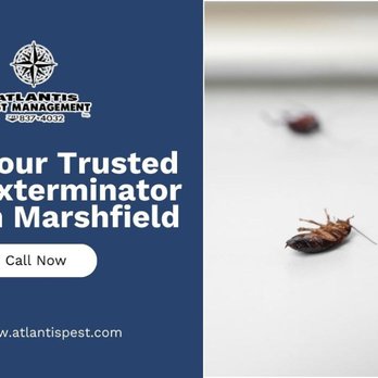 Atlantis Pest Management - 8_Atlantis Pst Mgmt Inc_Your Trusted Exterminator in Marshfield.jpg - Pest Control Near Me - Marshfield, Massachusetts Atlantis Pest Management - 8_Atlantis Pst Mgmt Inc_Your Trusted Exterminator in Marshfield.jpg - Pest Control Near Me - Marshfield, Massachusetts