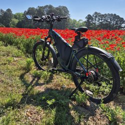 All Out Bikes - Four Oaks in the Springtime. Wild flowers 2 miles from All Out Bikes.