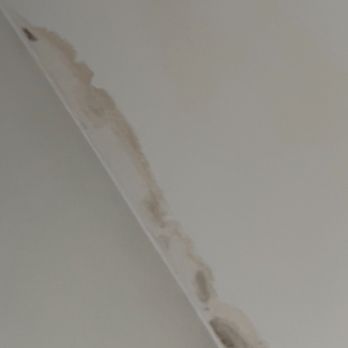 Beaches Construction Company - Mold they wanted to just paint over and not fix anything and keep hiding the cut floor joists - General Contractors Near Me - Panama City Beach, Florida Beaches Construction Company - Mold they wanted to just paint over and not fix anything and keep hiding the cut floor joists - General Contractors Near Me - Panama City Beach, Florida