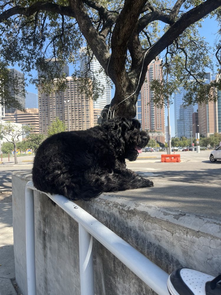 Root Memorial Square