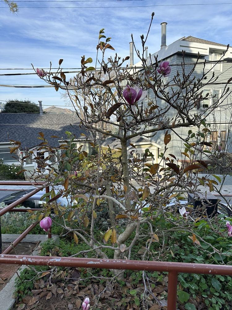 Seward Mini Park