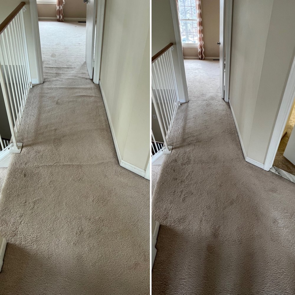 AARDVARK CARPET SERVICE Updated September 2024 125 Photos