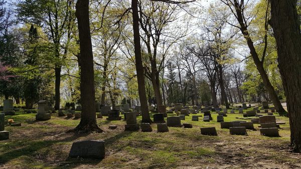 Forest Hill Cemetery by null