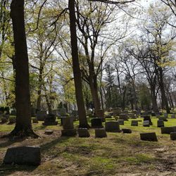 Forest Hill Cemetery