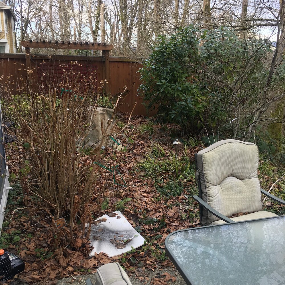 Merino’s Landscaping - Before back yard - Lawn Services Near Me