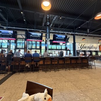 Yuengling - Bar - Breweries Near Me - Tampa, Florida