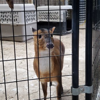 The Creature Conservancy - Jill - forgot what she is - Community Service/Non-Profit Near Me - Ann Arbor, Michigan