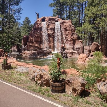 Bearizona - Entry falls - Zoos Near Me - Williams, Arizona