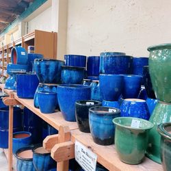 Sloat Garden Center - Inside