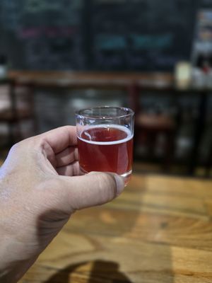 Stark Brewing Company by null