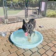 Photo of Schuylkill River Dog Run - Philadelphia, PA, United States. Pool