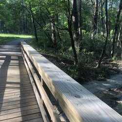 Beaver Lake - Wood Breach