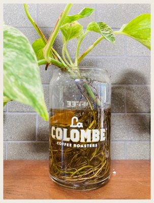 La Colombe Coffee Workshop by null