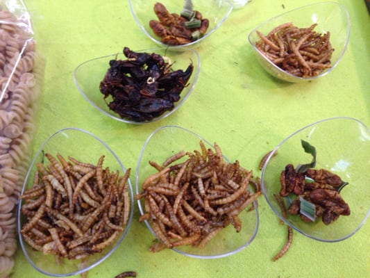 Paris Expo Porte de Versailles by null