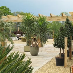Olive Grove Nurseries
