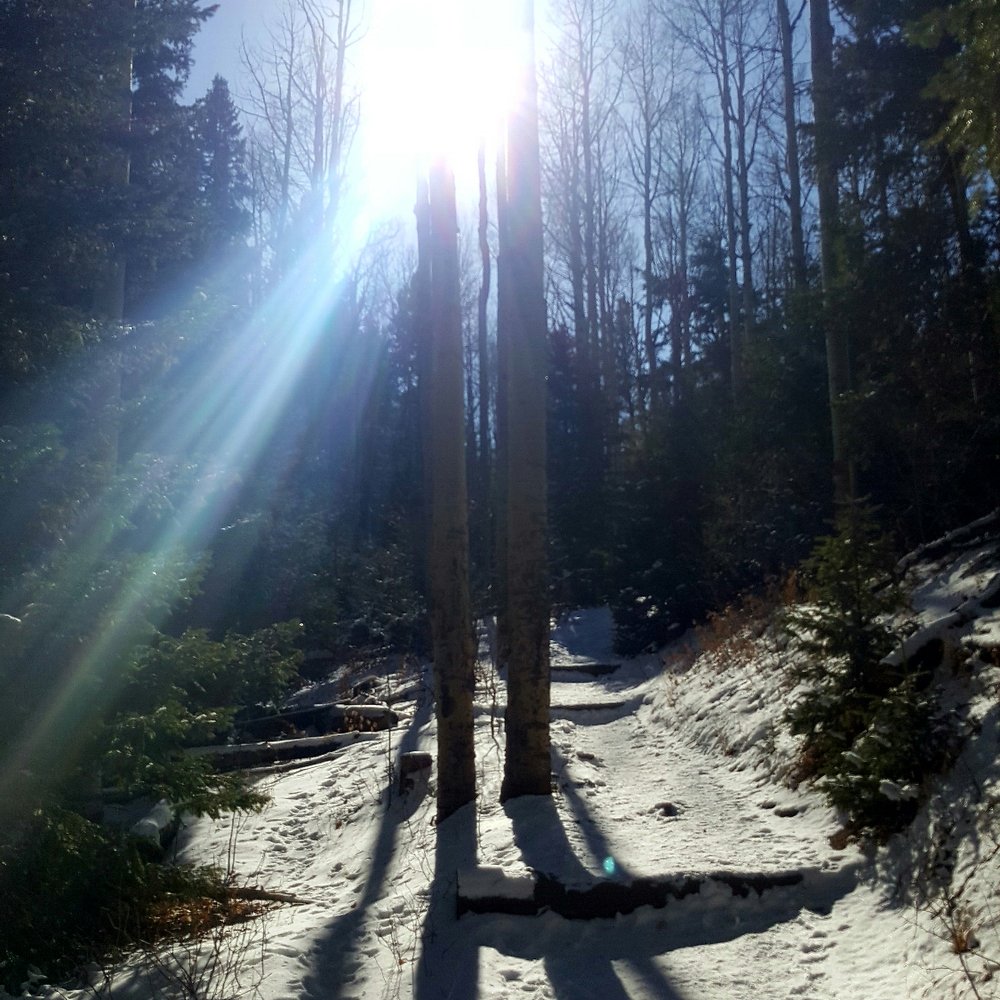 Devils Head Fire Tower - This place is absolutely gorgeous in late fall! - Hiking Near Me - Sedalia, Colorado