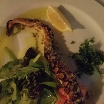 Babylon - Some of the best octopus I've ever had - Mediterranean Near Me - Miami Beach, Florida Babylon - Some of the best octopus I've ever had - Mediterranean Near Me - Miami Beach, Florida