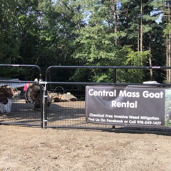 Central Mass Goat Rental - Front gate entrance to farm. - Landscaping Near Me - Lunenburg, Massachusetts Central Mass Goat Rental - Front gate entrance to farm. - Landscaping Near Me - Lunenburg, Massachusetts