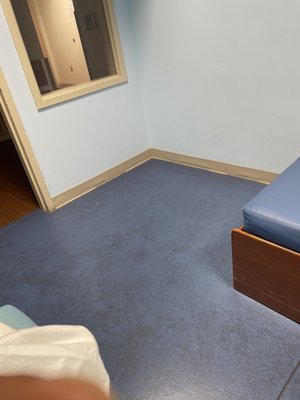 Holy Cross Hospital by null