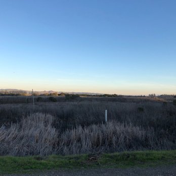Shollenberger Park - Parks Near Me - Petaluma, California Shollenberger Park - Parks Near Me - Petaluma, California