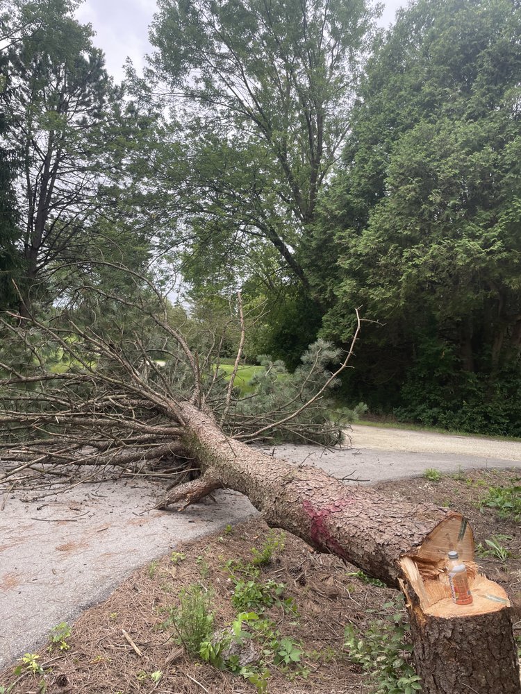 Simple Tree Removal - property management company in Milwaukee, WI