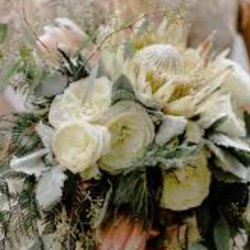 Aster Lane Floral