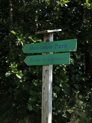 Victor's Way by null