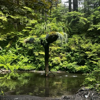 Glacier Gardens Rainforest Adventure - flower tower! - Botanical Gardens Near Me - Juneau, Alaska