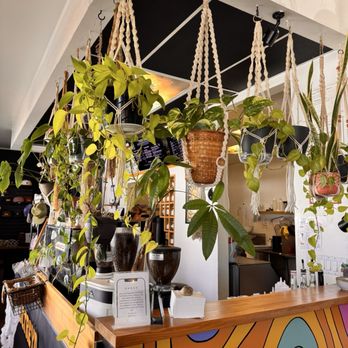 Ultreya Coffee and Tea - Coffee & Tea Near Me - San Diego, California Ultreya Coffee and Tea - Coffee & Tea Near Me - San Diego, California