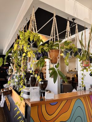 Ultreya Coffee and Tea by null