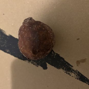 Lampo2GO - IX ART PARK - Zeppole - Pizza Near Me - Charlottesville, Virginia