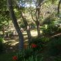 Photo of Watt Park