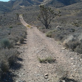 Gass Peak - Trail - Hiking Near Me - Las Vegas, Nevada Gass Peak - Trail - Hiking Near Me - Las Vegas, Nevada