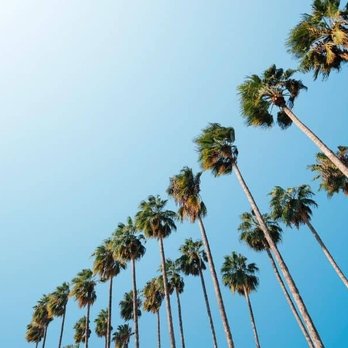 Select Residential Moving - Movers Near Me - West Palm Beach, Florida Select Residential Moving - Movers Near Me - West Palm Beach, Florida