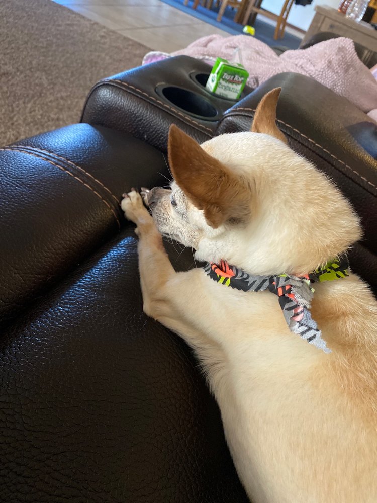 TAYLOR RANCH VETERINARY HOSPITAL Updated September 2024 10 Photos