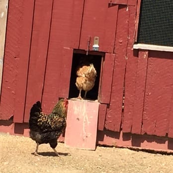 Oxon Hill Farm - Parks Near Me - Oxon Hill, Maryland Oxon Hill Farm - Parks Near Me - Oxon Hill, Maryland