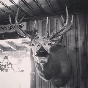 Bull O' the Woods Saloon - deer head mounted on a wall - Pubs Near Me - Red River, New Mexico Bull O' the Woods Saloon - deer head mounted on a wall - Pubs Near Me - Red River, New Mexico