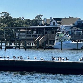 THE BLIND TIGER - Updated January 2025 - 52 Photos & 20 Reviews - 1 N