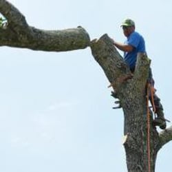 Scott's Tree and Stump Removal Services